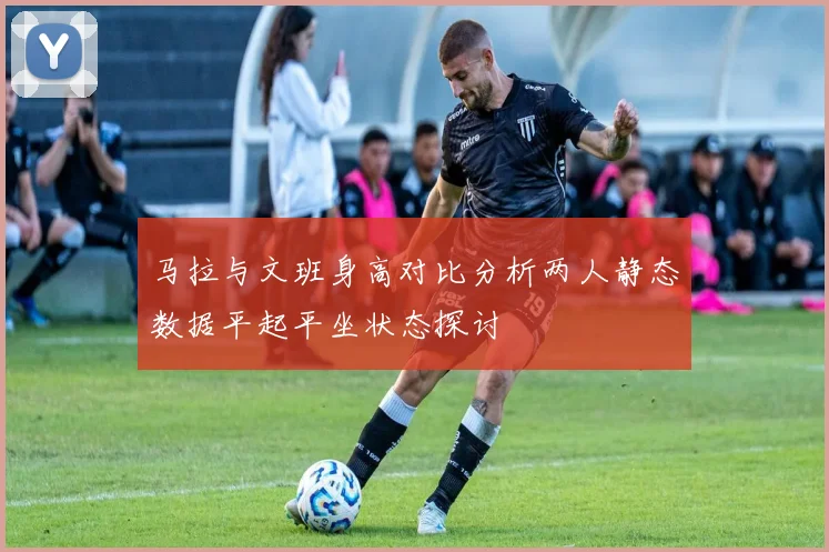 马拉与文班身高对比分析两人静态数据平起平坐状态探讨
