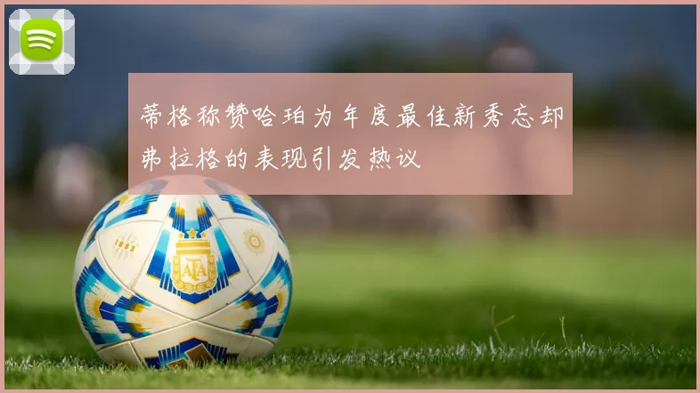 蒂格称赞哈珀为年度最佳新秀忘却弗拉格的表现引发热议