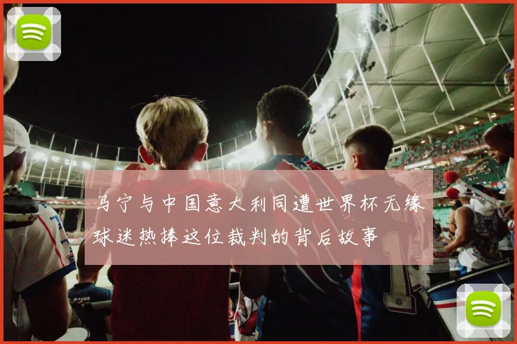 马宁与中国意大利同遭世界杯无缘球迷热捧这位裁判的背后故事