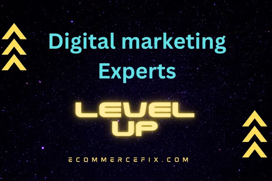 digital marketing experts